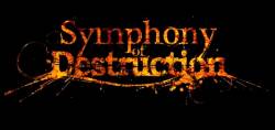 Symphony Of Destruction : The Roads to Despair